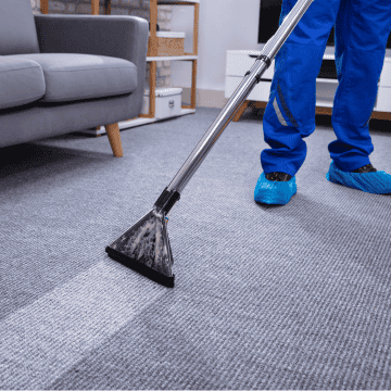 Carpet and sofa cleaning service